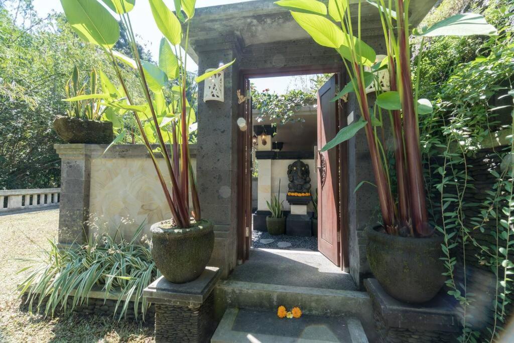 ubud-river-villa0.jpg